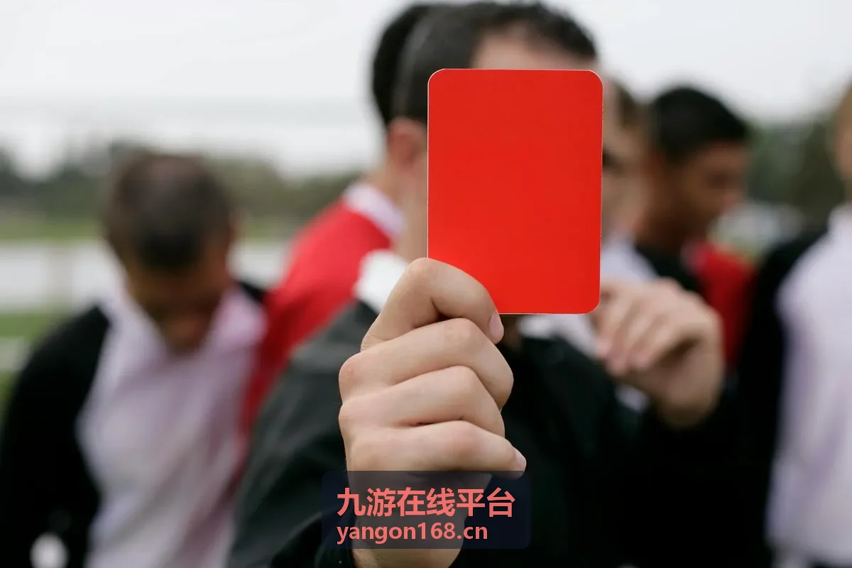 九游在线平台充值订单号查询说明配图
