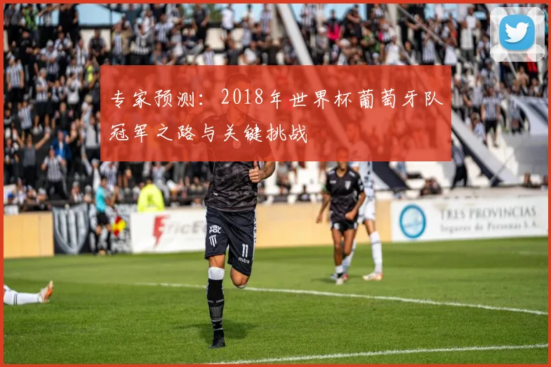 专家预测：2018年世界杯葡萄牙队冠军之路与关键挑战