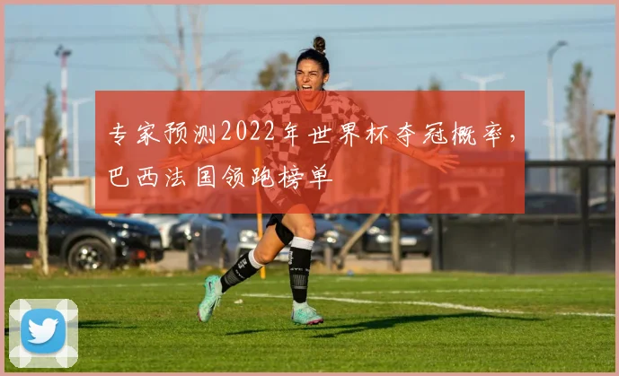 专家预测2022年世界杯夺冠概率，巴西法国领跑榜单