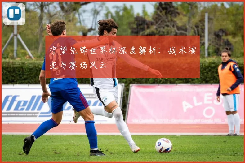 守望先锋世界杯深度解析:战术演变与赛场风云
