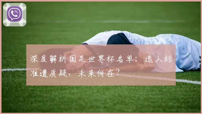 深度解析国足世界杯名单：选人标准遭质疑，未来何在？