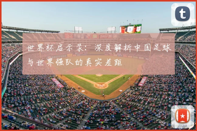 世界杯启示录：深度解析中国足球与世界强队的真实差距