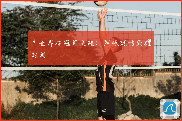 年世界杯冠军之路:阿根廷的荣耀时刻